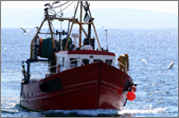 moteurs marins